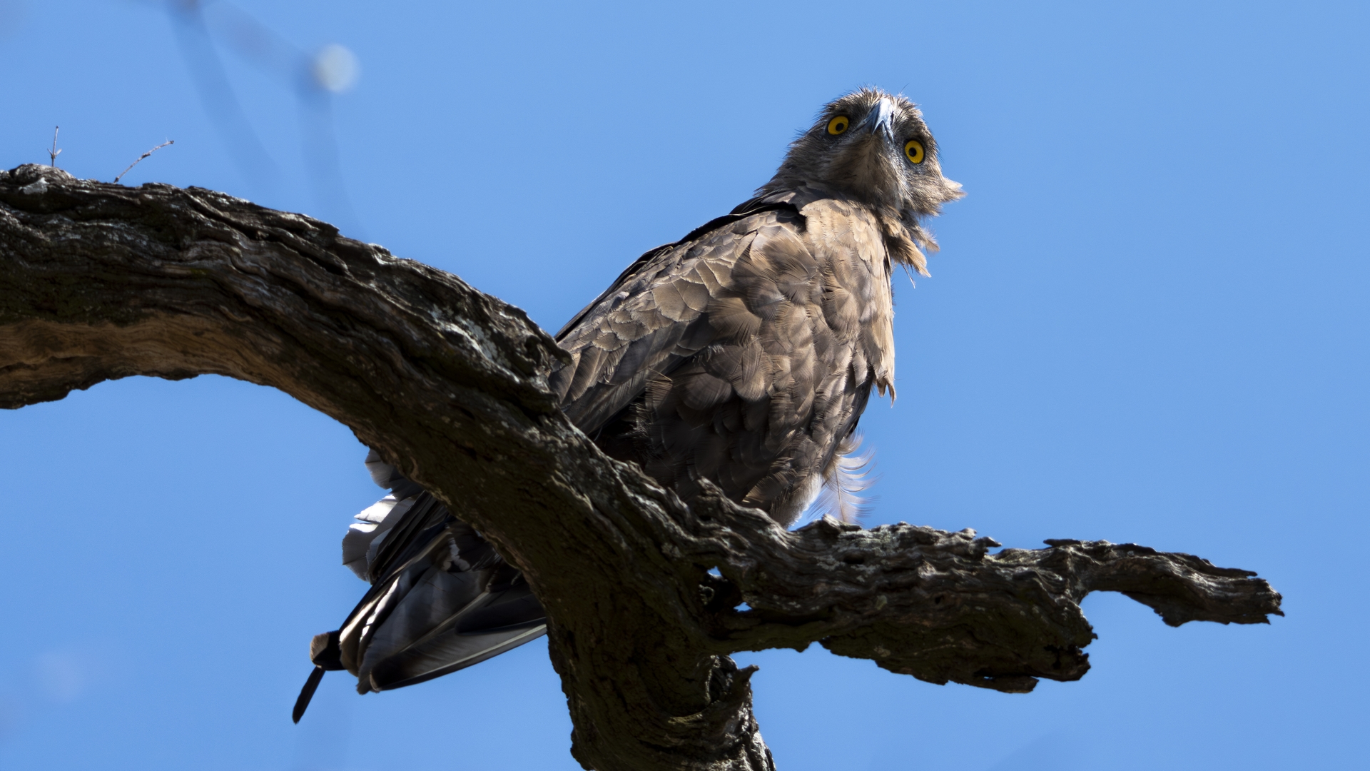 Kruger25 2025 10 29 09 41 44 ILCE 1M2 150